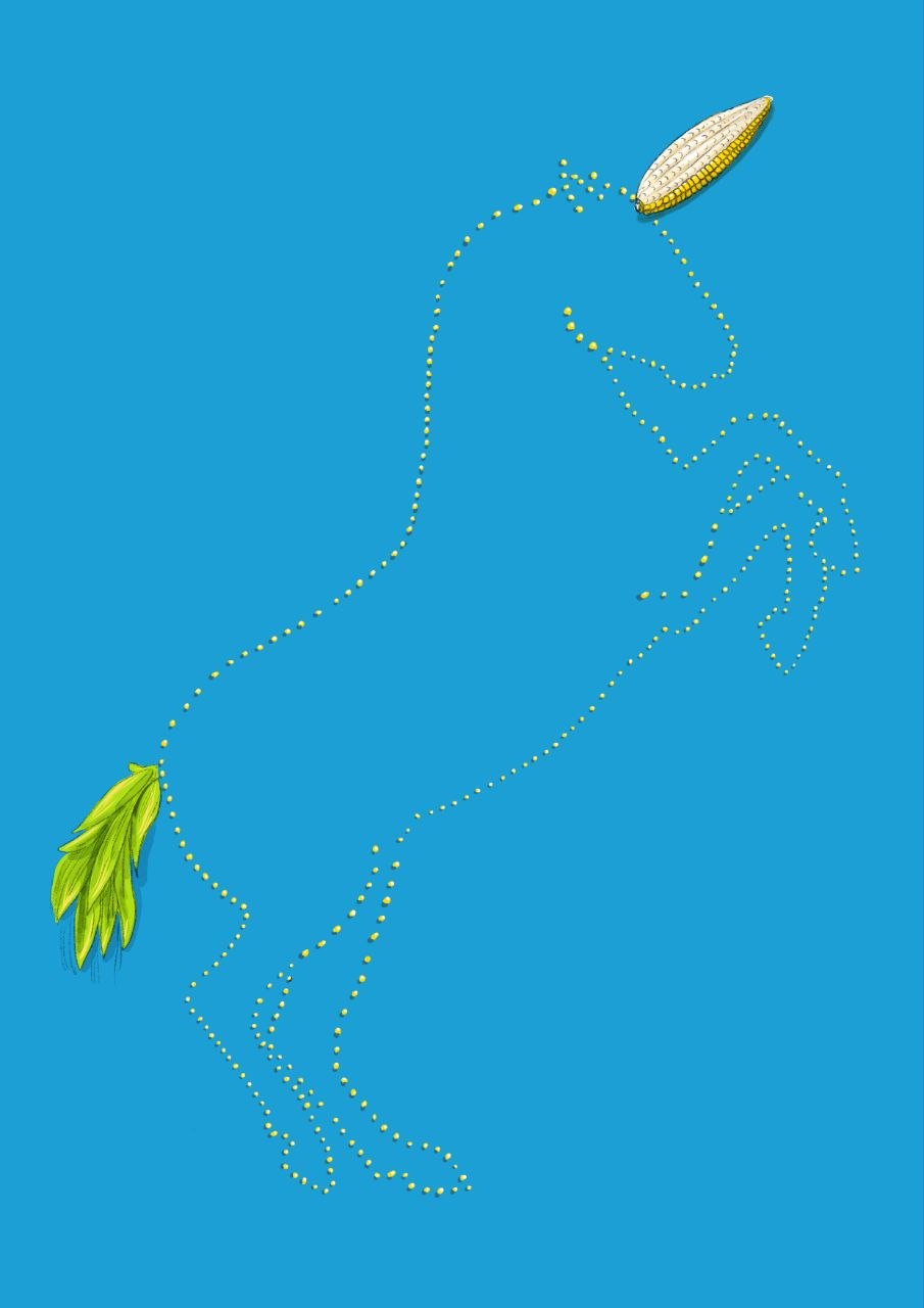 Unicorn